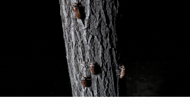 GIF 2025-7-11 16-03-11.gif