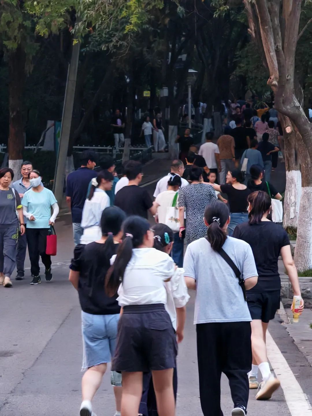 微信图片_2025-08-13_155218_016.jpg