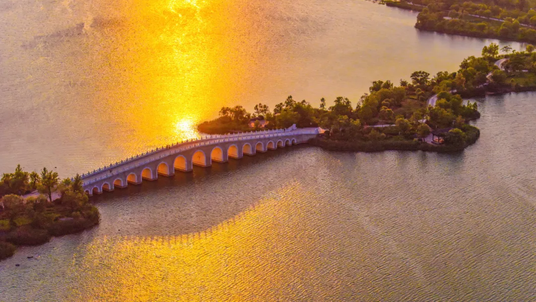 夏日南湖 风景如画 冯树风 摄 (2)(3596254)-20250820110347.jpg