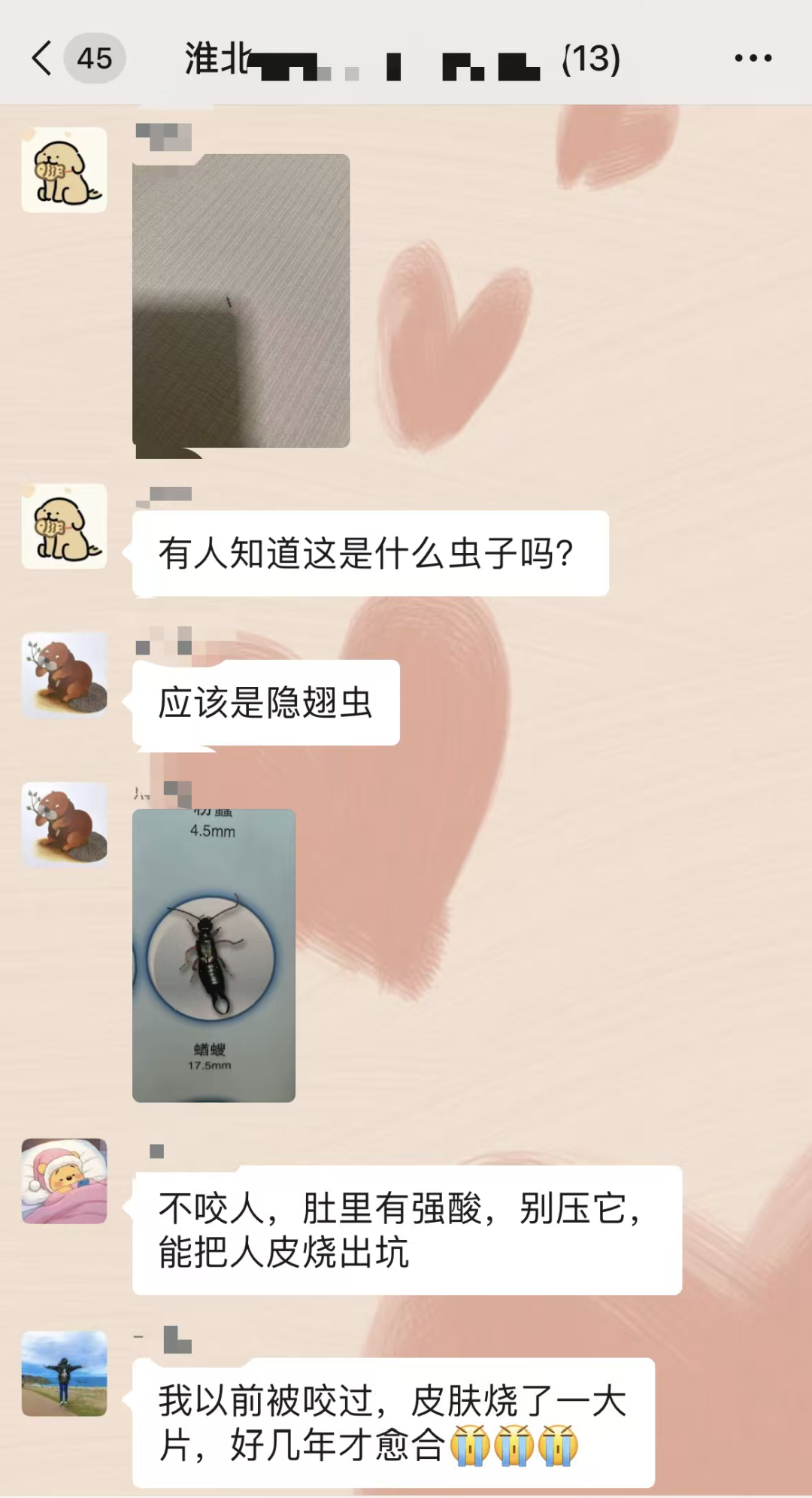 微信图片_20250929154429_606_246.png