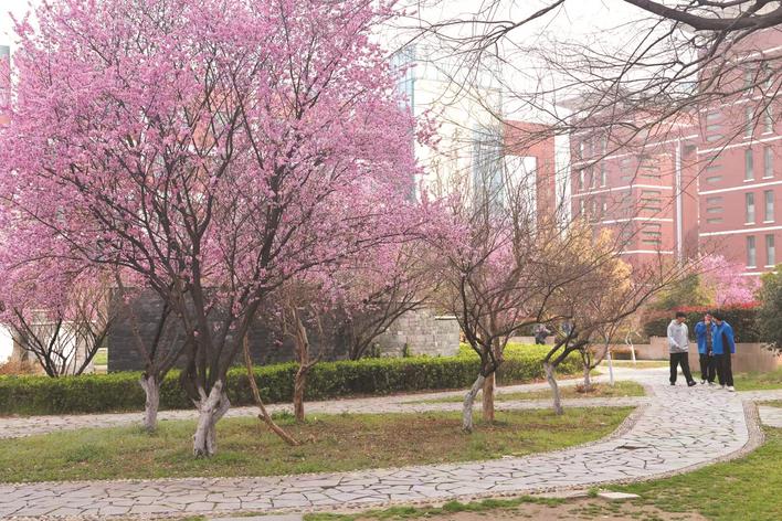 淮北市各中小学新学期迎来春光满园