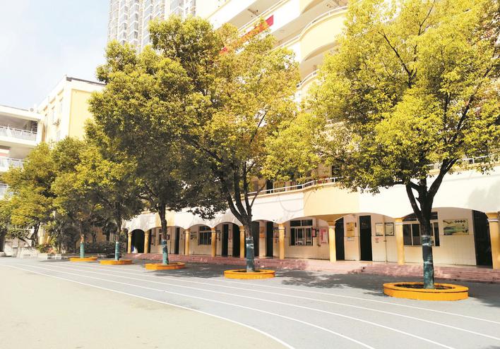 淮北市各中小学新学期迎来春光满园