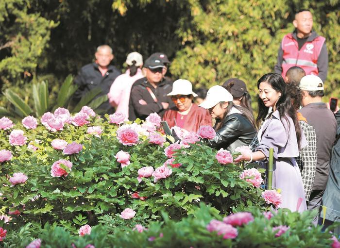 国色流芳：一城春色半城香