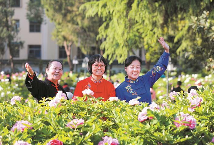 国色流芳：一城春色半城香